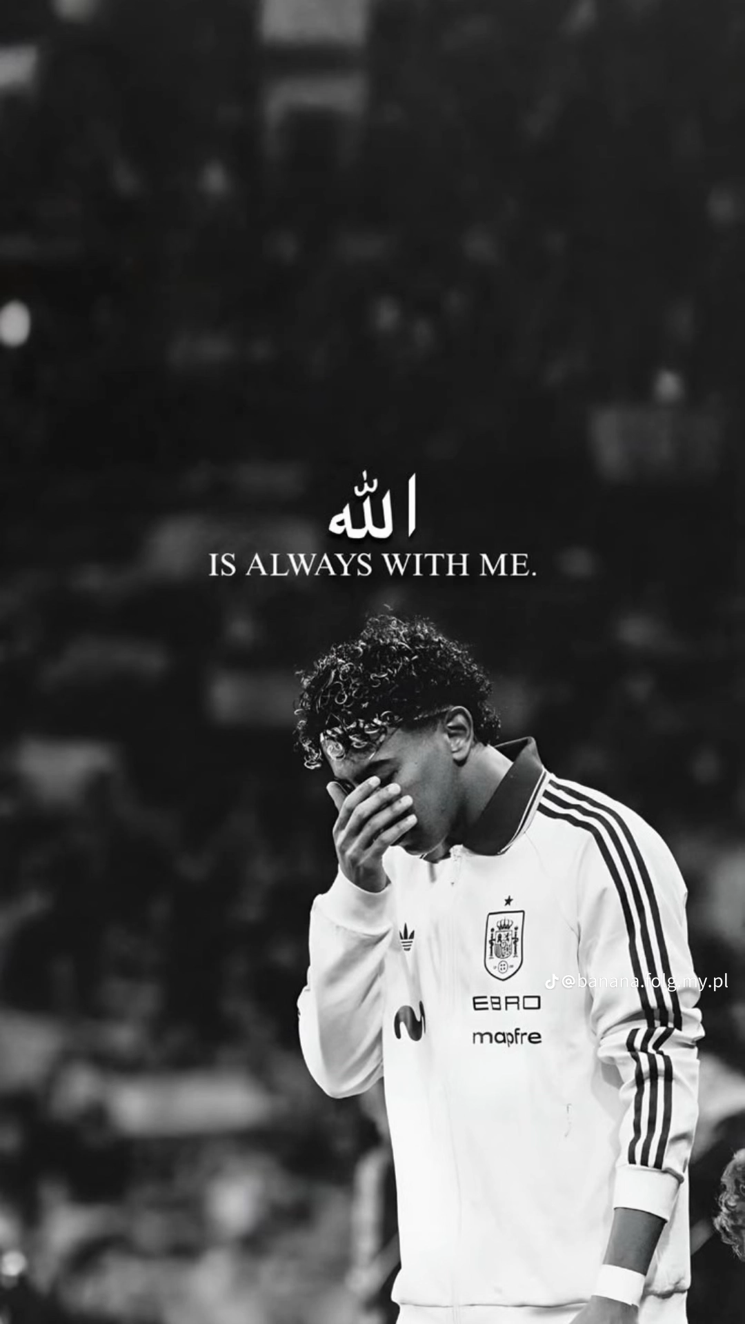 mohamedtmrtu